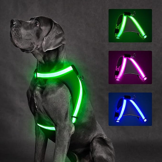 ChalkLit Light Up Dog Harness, No Pull Led Dog Harness Glow-in-The-Dark for Night Walking, USB Rechargeable Lighted Safety Vest for Small Dogs, Adjustable Soft Mesh Fully Illuminated (Green, Small)