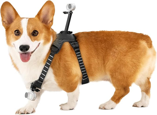 Insta360 GO 3/GO 3S Pet Harness Mount Medium