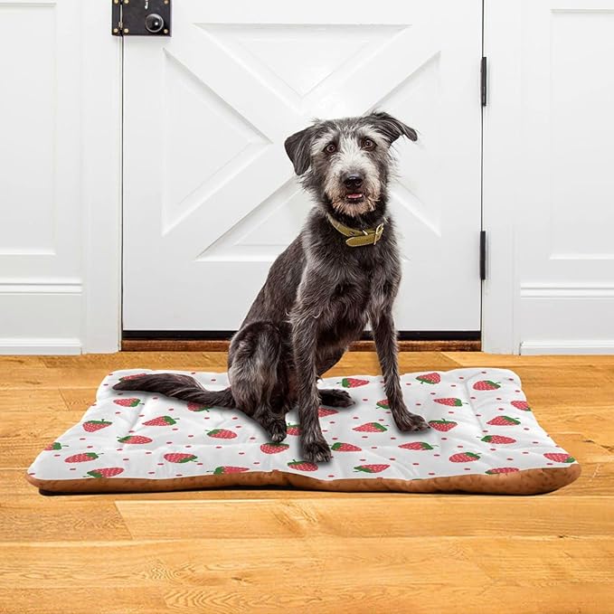 Pet Bed Strawberry Fruit Dog Bed Mat Absorbing Non Slip Pad Pet Sleeping Mat for Small, Medium, and Large Dogs Puppy Cat 36 in x 24 in