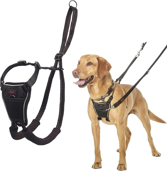 Halti No Pull Harness - Stop Your Dog Pulling on the Leash. Adjustable, Lightweight and Easy to Use. Reflective Dog Training Harness for Medium Dogs (Size M, Black)