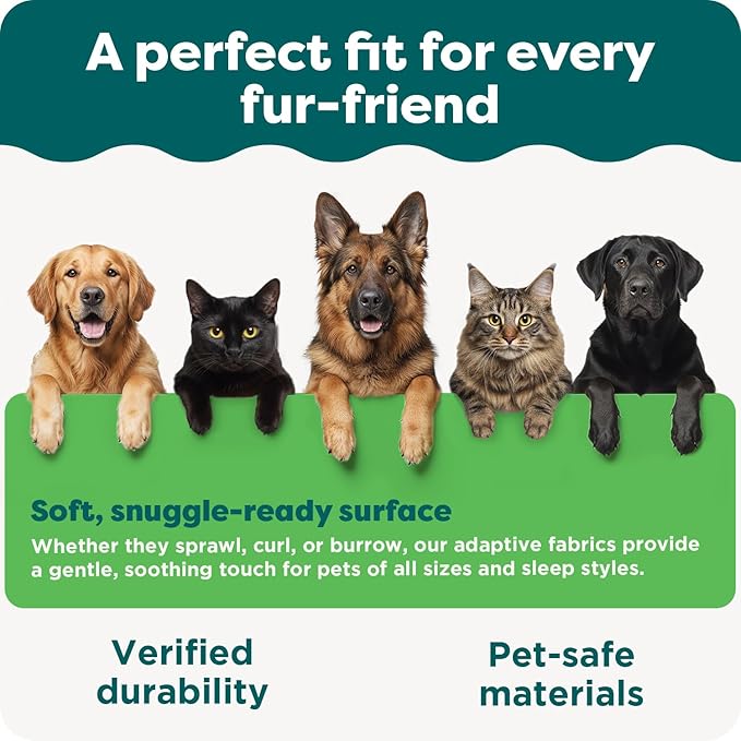 Furhaven Water-Resistant Orthopedic Dog Bed for Large/Medium Dogs w/ Removable Washable Cover, For Dogs Up to 55 lbs - Indoor/Outdoor Logo Print Oxford Polycanvas Mattress - Forest, Large