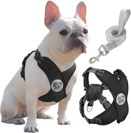 Pawaboo Small Dog Harness and Leash Set, Puppy Harness X-Frame No Pull No Choke, Dog Vest Harnesses Adjustable for Small Medium Sized Dogs, Soft Breathable Pet Harnesses for Walking Outing (L, Black)