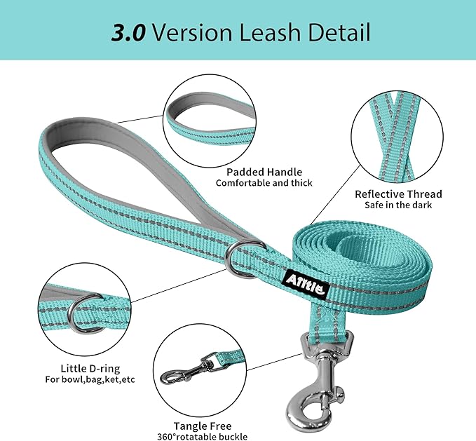 AIITLE Comfortable Dog Harness and Leash Set for Walking - Step in Vest Harness,Reflective Bands, Adjustable No Pull Puppy Essentials, for Small Dogs and House Cats Pure Turquoise XS
