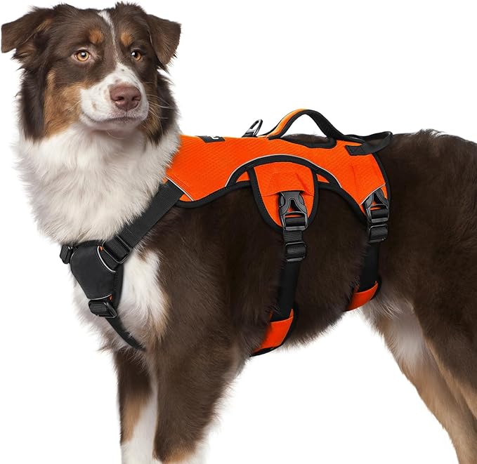 rabbitgoo Escape Proof Dog Harness, Soft Padded Full Body Pet Harness, Reflective Adjustable No Pull Vest with Lift Handle and Leash Clip for Large Dogs Walking Hiking Training, M, Orange