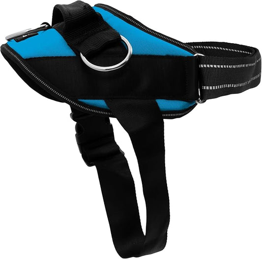 ShawnCo Essential Dog Harness, No-Pull Pet Vest with 3 Leash Clips, No Choke, Reflective, Adjustable and Padded, for Easy Walking and Training for Small, Medium and Large Dogs (Oceanic Blue, Medium)