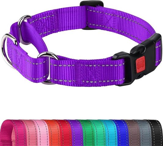Joytale Martingale Collar for Dogs, Reflective Heavy Duty for Safety, Quick Release Buckle, Adjustable Nylon Collars for Small Dogs Walking Training, Purple, S