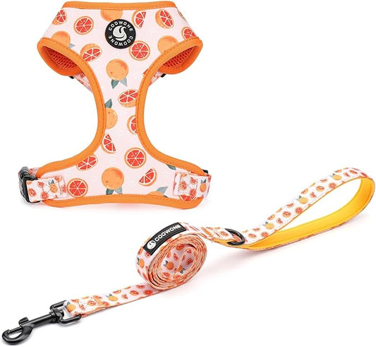 Dog Cat Harness and Leash Set, Puppia Soft Mesh Padded and Adjustable Puppy Vest Cute Dog Clothes Escape Proof Easy Walk Pet Accessories (Grapefruit, S (Neck 10.6"-13"; Chest 14"-19.6"))