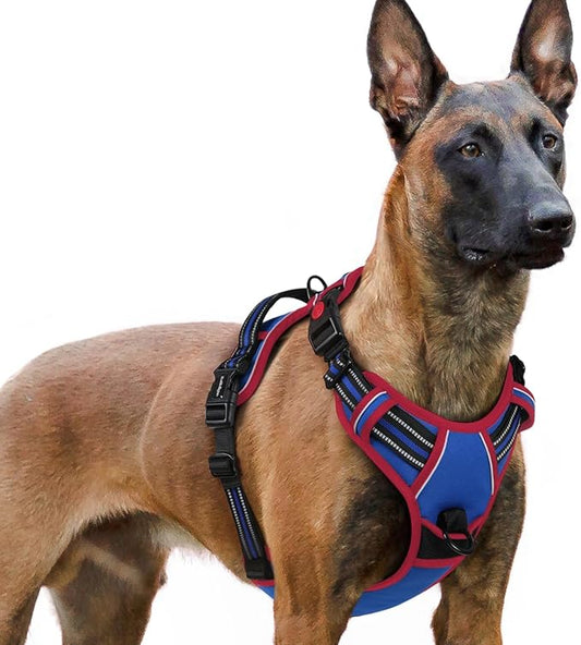 rabbitgoo Dog Harness for Large, No Pull Pet Harness with 3 Buckles, Adjustable Soft Padded Vest with Control Handle, Walking Reflective Pet Vest for Extra Large Dogs, Royal Blue & Red, XL