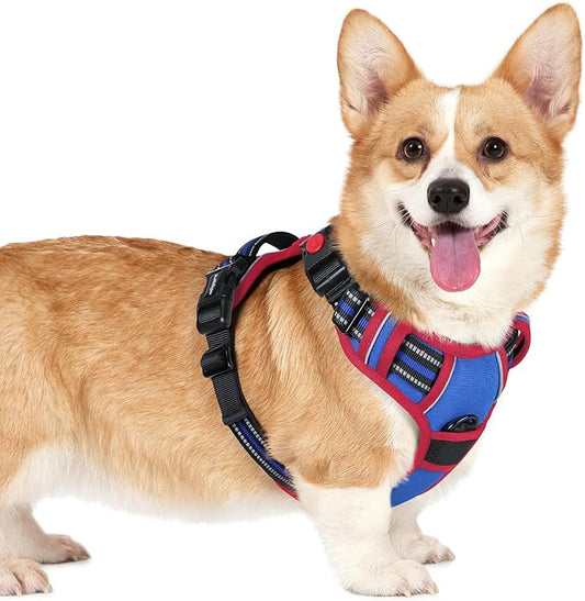 rabbitgoo Dog Harness Small Sized, No Pull Pet Harness with 3 Buckles, Adjustable Soft Padded Vest with Control Handle, Walking Reflective Pet Vest for Small Dogs, Royal Blue & Red, S