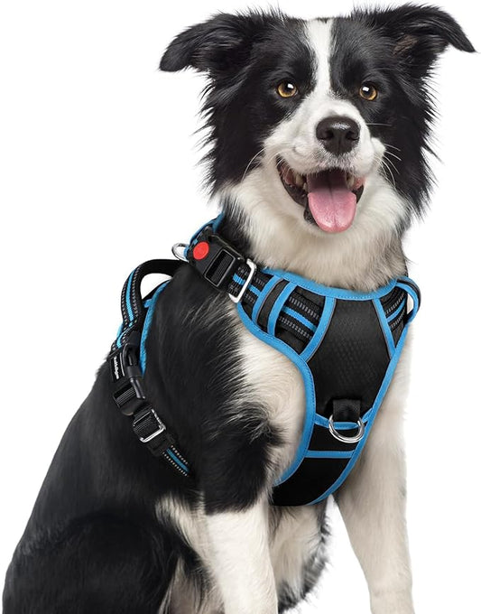 rabbitgoo Dog Harness Medium Sized, No Pull Dog Vest with 3 Buckles, Adjustable Soft Padded Pet Harness with Easy Control Handle and Reflective Strips, Black & Sky Blue, M