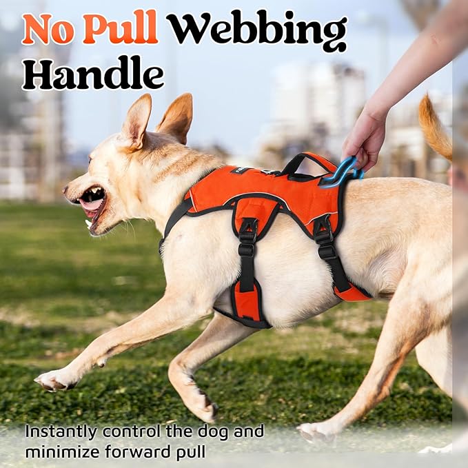 rabbitgoo Escape Proof Dog Harness, Soft Padded Full Body Pet Harness, Reflective Adjustable No Pull Vest with Lift Handle and Leash Clip for Large Dogs Walking Hiking Training, M, Orange