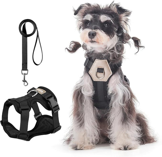 Small Dog Harness and Leash Set, Breathable Mesh Puppy Harness, Adjustable Dog Harness for Small Medium Large Dogs, No-Pull Pet Harness for Daily Walking (Black, Large)