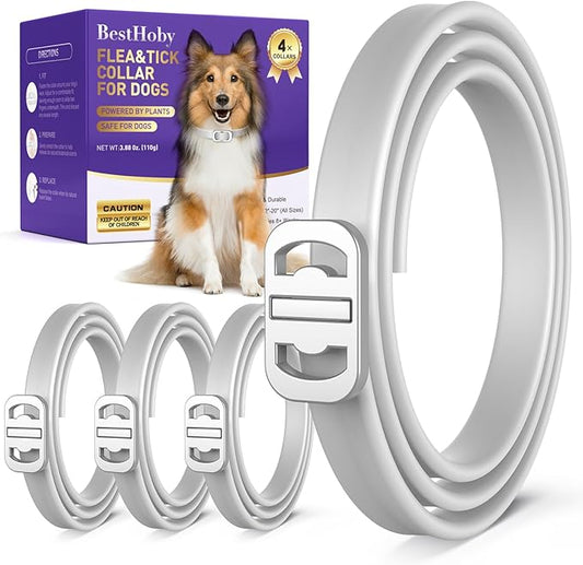 Flea and Tick Collar for Dogs 4 Packs,Dog Collars with Natural Essential Oils,Waterproof, Adjustable for Small Medium Large Dogs,Safe for Puppies (Gray)