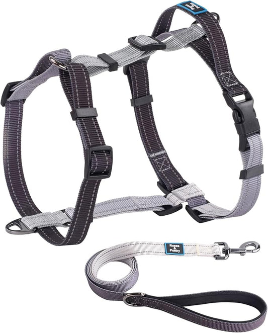 Roses&Poetry Puppy Dog Harness and Leash Set, No Pull Dog Harness Adjustable Reflective, Dog Halter Harnesses Comfort Padded Handle, Pet Harness for Training Outdoor Walking（BlackGray-S