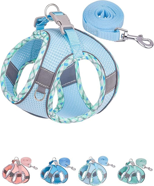 Petank Dog Harness for Small Medium Dogs No Pull, Puppy Harness and Leash Set, Step in Dog Harness for Walking, Running, Training, Small Dog Vest, Medium Dog Vest (Light Blue, M)