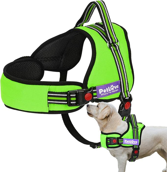 PetLove Dog Harness, Adjustable Soft Leash Padded No Pull Dog Harness for Small Medium Large Dogs, Green