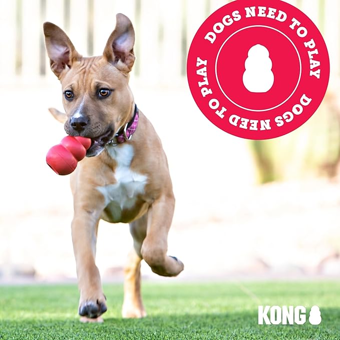 KONG - Cozie Rosie Rhino - Indoor Cuddle Squeaky Plush Dog Toy - for Small Dogs