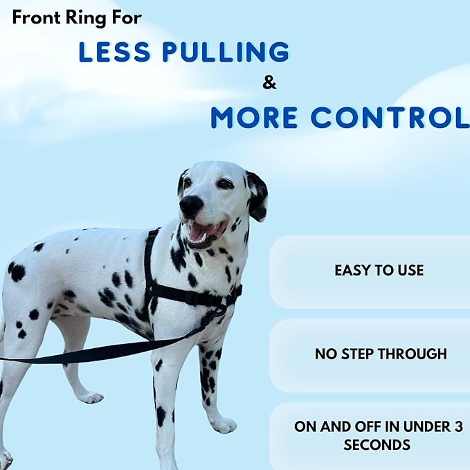 ShawnCo Dream Walk No-Pull Dog Harness- Adjustable, Comfortable, Easy to Use Pet Halter to Help Stop Pulling for Small, Medium and Large Dogs- Art Pattern Designs (Stars and Stripes, L)