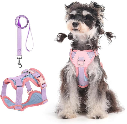 Small Dog Harness and Leash Set, Breathable Mesh Puppy Harness, Adjustable Dog Harness for Small Medium Large Dogs, No-Pull Pet Harness for Daily Walking (Blue, Large)