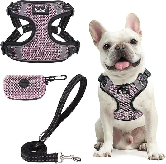 PUPTECK Dog Harness and Leash Set Small Sized, Step in No Pull Adjustable Puppy Cat Harness Reflective Pet Vest