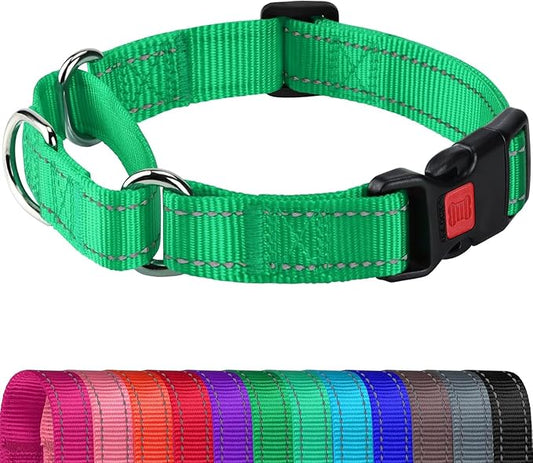 Joytale Martingale Collar for Dogs, Reflective Heavy Duty for Safety, Quick Release Buckle, Adjustable Nylon Collars for Large Dogs Walking Training, Green,L