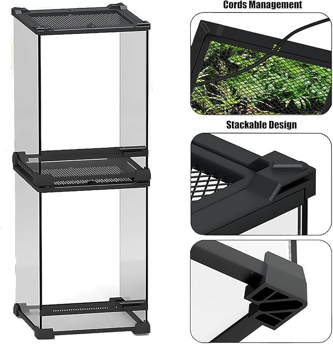 Woyrise Reptile Glass Terrarium Tank 8"x8"x12", Front & Top Opening Door Full View Visually Appealing Mini Reptile or Amphibians Habitat, Stackable Vertical Enclousure for Small Reptiles