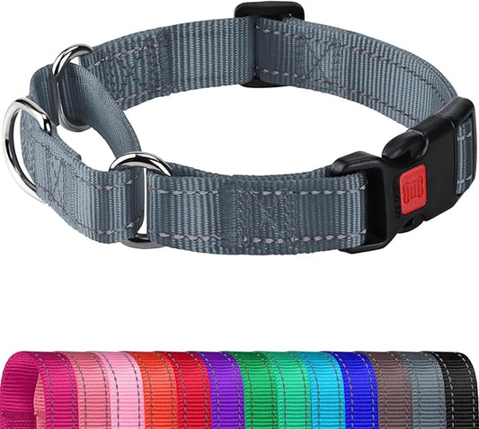 Joytale Martingale Collar for Dogs, Reflective Heavy Duty for Safety, Quick Release Buckle, Adjustable Nylon Collars for Puppy and XSmall Dogs Walking Training, Gray,XS