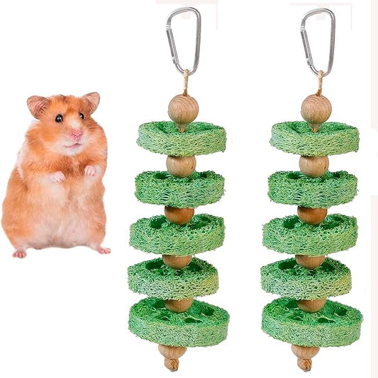 2PCS Fruit Flavor Loofah Chew Toys Guinea Pig Chew Toys for Teeth Rabbit Toys Guinea Pig Toys (Green)