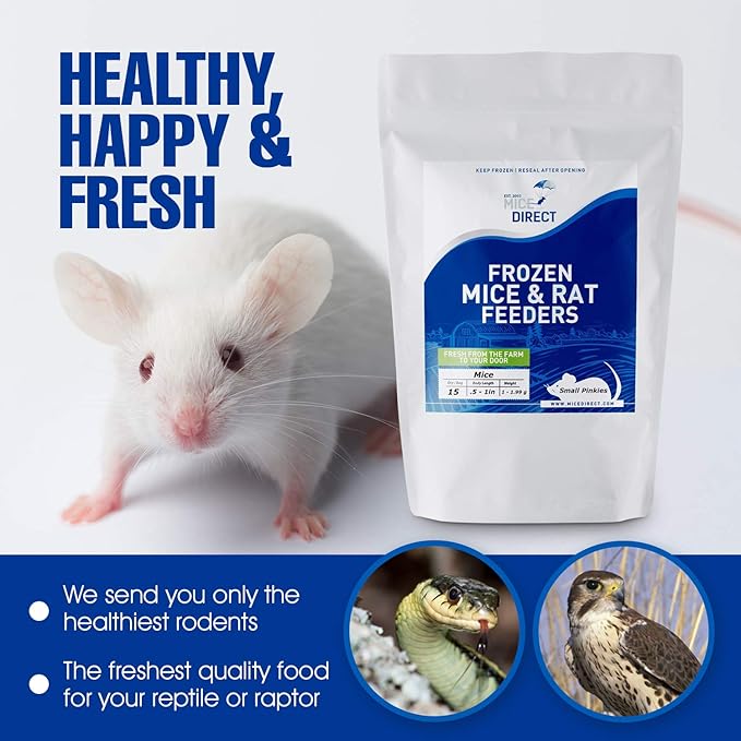MiceDirect EST. 2003 20 Jumbo Rats: Fresh Fast Frozen Food for Corn Snakes Ball Pythons