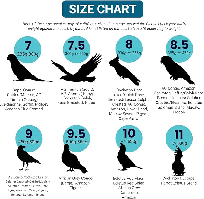 Bev's Bird Boutique Regular Flyper Adjustable Bird Diaper | Reusable, Washable Cloth | Comfort Fit for Parrot, Cockatiels, & Other Small Birds | Fashionable Avian Accessories, Classy Bird Size 8