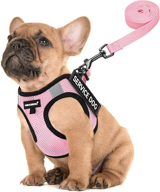 FAYOGOO Service Dog Vest for Small and Medium Breed - Lightweight Dog Harness with 6PCS Removable Patches - Puppy Harness and Leash Set for Walking, Training