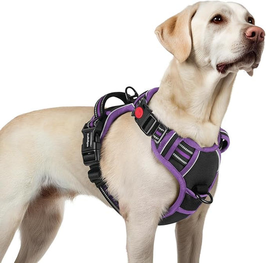 rabbitgoo Dog Harness for Large, No Pull Pet Harness with 3 Buckles, Adjustable Soft Padded Vest with Control Handle, Walking Reflective Pet Vest for Large Dogs, Black & Purple, L