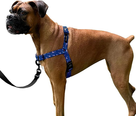 ShawnCo Dream Walk No-Pull Dog Harness- Adjustable, Comfortable, Easy to Use Pet Halter to Help Stop Pulling for Small, Medium and Large Dogs- Art Pattern Designs (White Sharks, M)