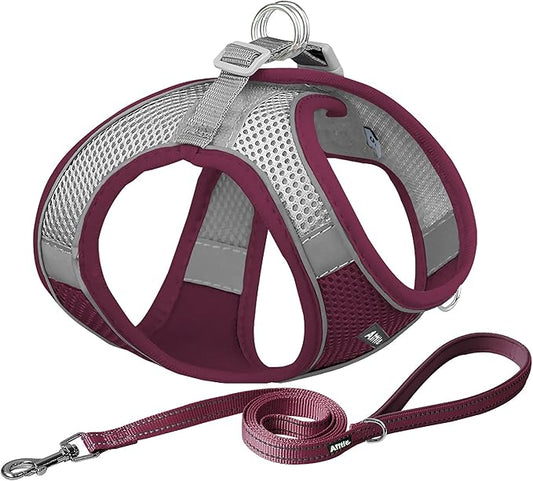 AIITLE Easy Walk Dog Harness and Leash Set - Christmas Pet Supply No Pull, Step in Adjustable Dog Harness with Padded Vest, No Choke Over, Easy to Put on Medium Dogs Burgundy L