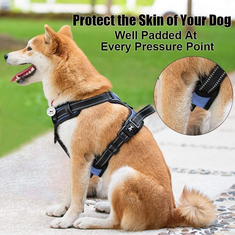 PoyPet No Pull Dog Harness, Reflective Comfortable Vest Harness with Front & Back 2 Leash Attachments and Easy Control Handle Adjustable Soft Padded Pet Vest for Small to Large Dogs (Light Blue,M)