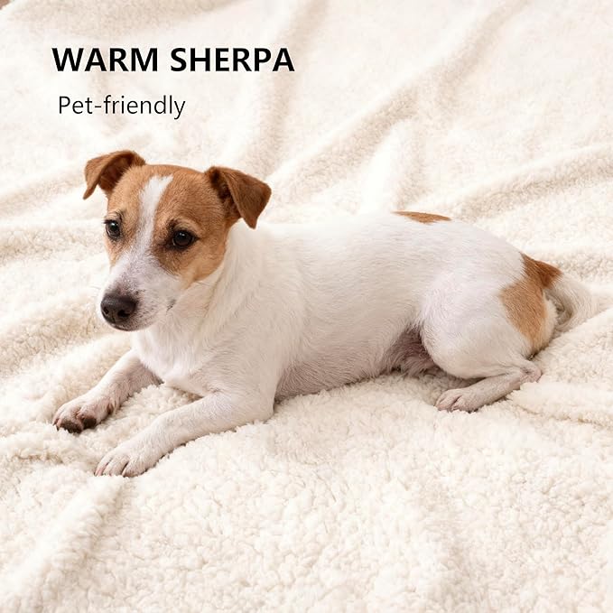 Waterproof Dog Blanket for Small Dog, Leak Proof Pet Couch Sherpa Throw Blankets for Cat, Reversible Sofa Bed Protector Machine Washable-25 x35,Beige