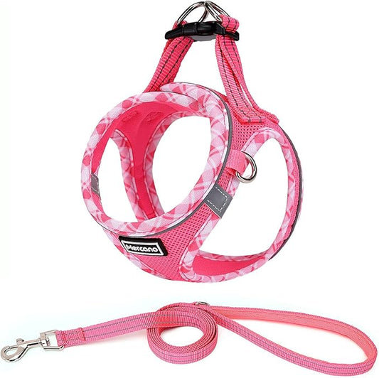 Mercano Soft Mesh Dog Harness and Leash Set, No-Chock Step-in Reflective Breathable Lightweight Easy Walk Vest Harnesses with Safety Buckle for Small Dogs, Cats (M, Fuchsia)