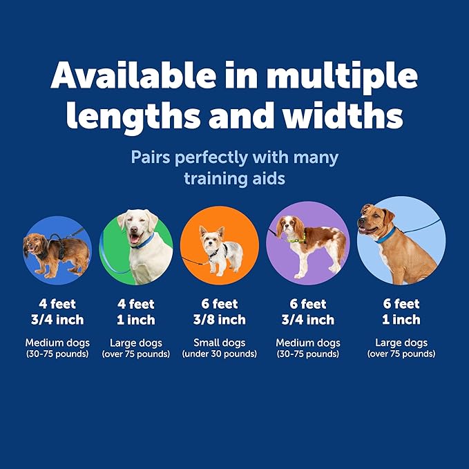 PetSafe Nylon Leash - Strong Nylon Dog Leash for Everyday Walks - Durable Pet Leash with Quick Attach Leash Clip - Comfortable Soft Grip - 6 Feet - Red