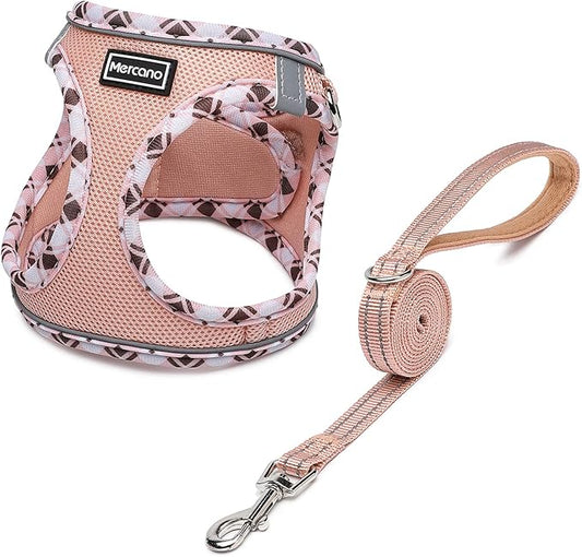 Mercano Soft Mesh Dog Harness and Leash Set, No-Chock Step-in Reflective Breathable Lightweight Easy Walk Vest Harnesses with Safety Buckle for Small Dogs, Cats (Champagne, XXS)