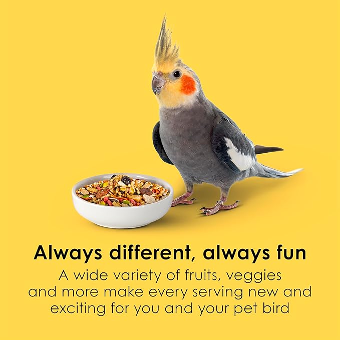 Kaytee Fiesta Cockatiel Food, Nutritious and Fun Blend, Supports Skin, Feather, Digestion, Brain and Heart Health, 2.5 pounds
