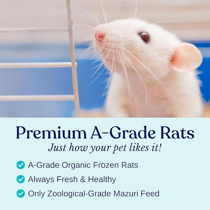 MiceDirect 40 Frozen Rat Fuzzies Feeders Snake Food for Adult Corn Snakes Ball Pythons (2-2.5 in)(360 Grams Min)(40 Count)