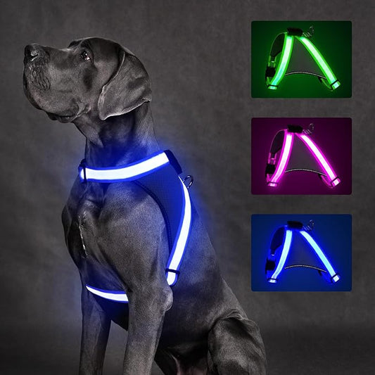 ChalkLit Light Up Dog Harness, No Pull Led Dog Harness Glow-in-The-Dark for Night Walking, USB Rechargeable Lighted Safety Vest for Medium Large Dogs, Adjustable Soft Mesh Fully Illuminated (Blue, M)