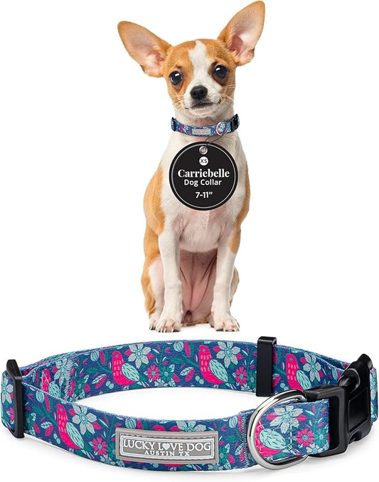 Lucky Love Dog - Adjustable Dog Collar with Easy Click Buckle for Small Ones, Durable, & Comfortable for Male & Female Dogs, Pet Collar for Puppies & Adult Dogs - Carriebelle, XS