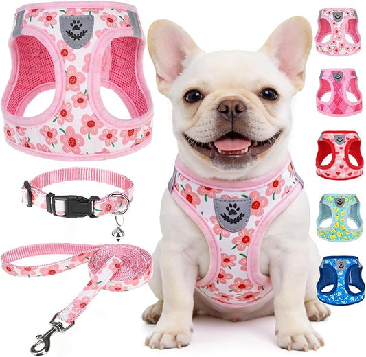 SCENEREAL Small Dog Harness and Leash Collar Set, Step in Soft Light Puppy Vest, Breathable Pet Harness for Small Sized Dogs, No Chock Reflective for Safe Outdoor Walking, Pink Flower M
