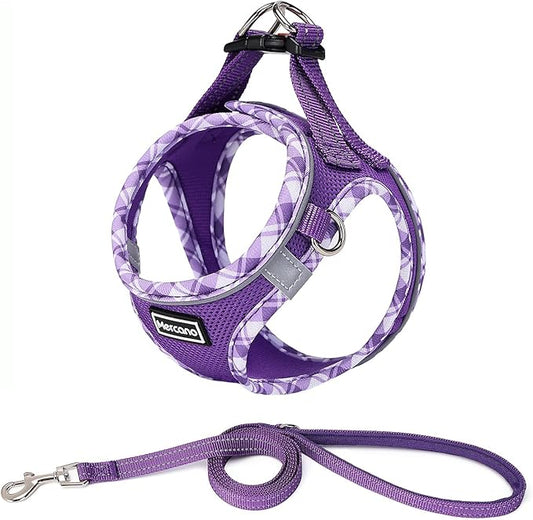 Mercano Soft Mesh Dog Harness and Leash Set, No-Chock Step-in Reflective Breathable Lightweight Easy Walk Vest Harnesses with Safety Buckle for Small Dogs, Cats (XXS, Purple)