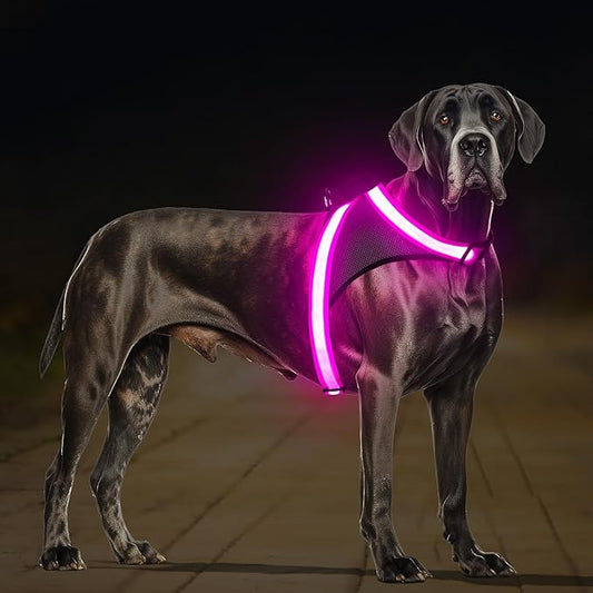 ChalkLit Light Up Dog Harness, No Pull Led Dog Harness Glow-in-The-Dark for Night Walking, USB Rechargeable Lighted Safety Vest for Medium Large Dogs, Adjustable Soft Mesh Fully Illuminated(Pink, L)