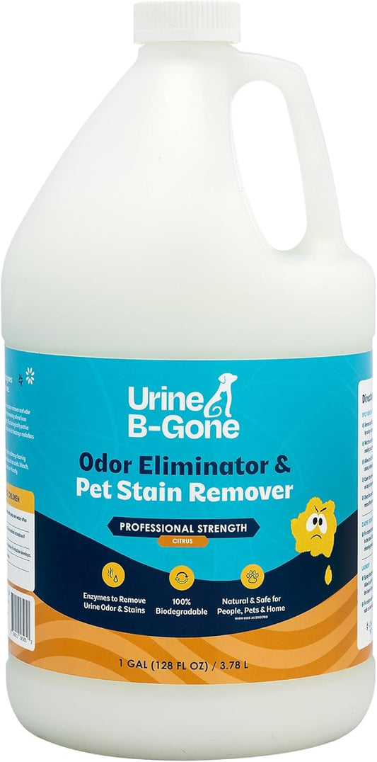 Urine B-Gone, Professional Enzyme Odor Eliminator & Pet Stain Remover, Human, Cat & Dog Urine Cleaner, Effective on Laundry, Carpets & More, Citrus Scent, 1 Gallon