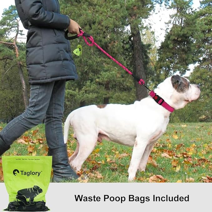 Taglory Rope Dog Leash 4 FT with Comfortable Padded Handle, Highly Reflective Threads Leash and Anti-Tangle Clip for Walking Medium Large Dogs, 1/2 inch, Hotpink