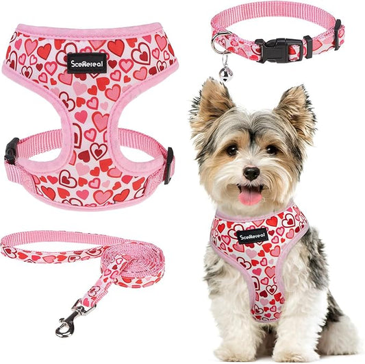 SCENEREAL Valentines Dog Harness Collar and Leash Set for Small Dogs, Soft Mesh Harnesses，Pet Vest for Outdoor Walking Training and Running, XS