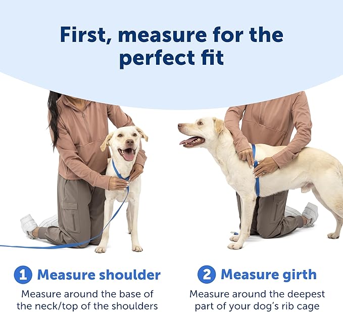 PetSafe Easy Walk Comfort No-Pull Dog Harness - Better Walk Training Harness - Full Body Padded Design - Durable Fabric - 5 Point Adjustable Fit - Everyday Leash Training - Pink - Large